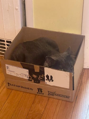 A gray cat resting inside a cardboard box labeled with game logos "Pathfinder" and "Starfinder." He is wedged in diagonally with his head smashed into the corner and his eyes peaking over the edge. 
