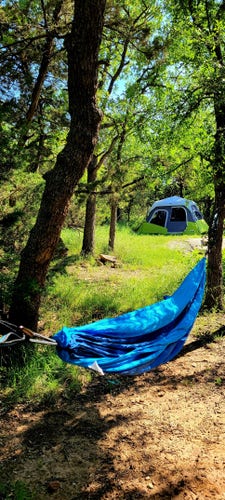 A blue hammock hanging between trees at a forest campsite. A green-and-gray tent seen through the clearing past the hammock.