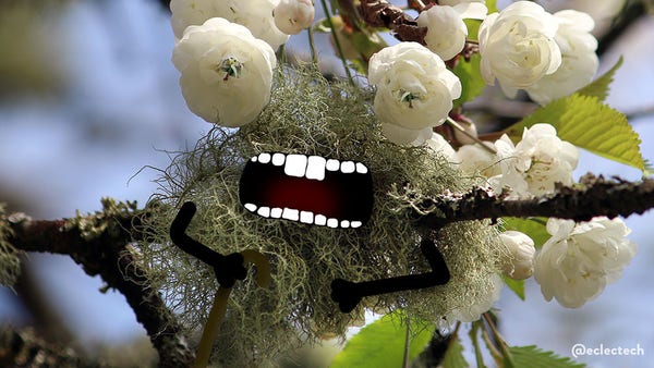 A photo of a large clump of lichen on a tree branch, with white blossom flowers above it and on the right. Two flowers rest on the top of the lichen, giving the appearance of slightly bulbous eyes. I have drawn on an open, toothy mouth and two arms folded in front of the lichen, one holding a walking stick.