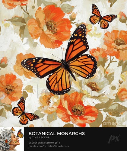 This is an image of three beautiful Monarch butterfies with orange and white poppy flowers in the background. 