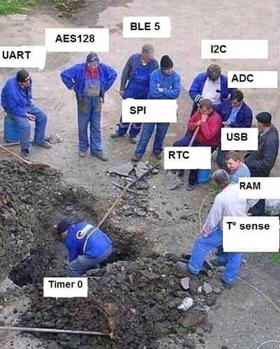 Group of people standing across the dug hole: UART, AES128, BLE 5, I2C, SPI, RTC, USB, RAM, T sense

One who digs the hole: Timer 0