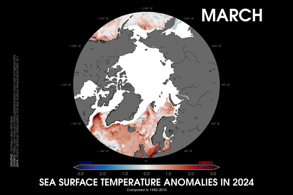 Polar stereographic map showing sea surface temperature anomalies in March 2024 relative to 1982 to 2010. Most areas are warmer than average. Sea-ice cover is also shown if sea-ice concentration is at least 15% per each grid point. Red is shown for warmer sea surface temperatures, and blue is shown for colder sea surface temperatures. Data is from OISSTv2.1.