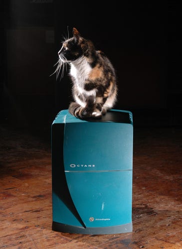 A calico cat sitting on an SGI Octane.
