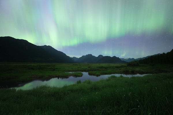 The Aurora Borealis shines green and pink over a mountain range, a tidal river sits in the foreground surrounded by lush grass.