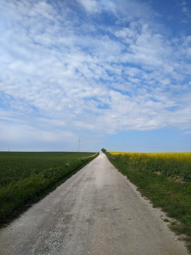 Szutrowa droga przez pola prowadząca pod górę. Pole po lewej to zielone, młode zboże. Po prawej kwitnący na żółto rzepak. Nad tym wszystkim błękitne niebo z białymi chmurami.
