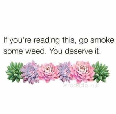 if you're reading this, go smoke some weed. you deserve it

and it's cutesy flowers beneath the text