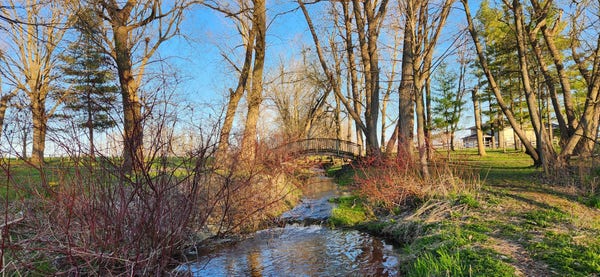 A photo of a conservation area featuring a stream with a small rock rapid with red bushes. Green is filling in where winter was. There is a wooden curved walking bridge in the distance. The sky is blue. The sun rays illuminate through bare trees with buds.