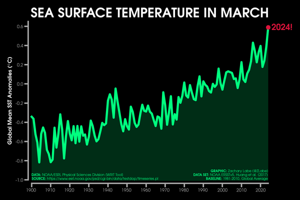 Green line graph time series of average sea surface temperature anomalies for each March from 1900 through 2024. There is large interannual variability, but an overall long-term increasing trend. Anomalies are computed relative to a 1981-2010 baseline.
