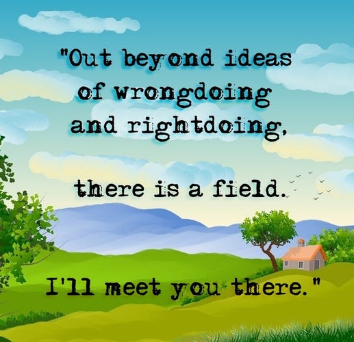 "Out beyond ideas
of wrongdoing
and rightdoing
there is a field.
I'll meet you there."