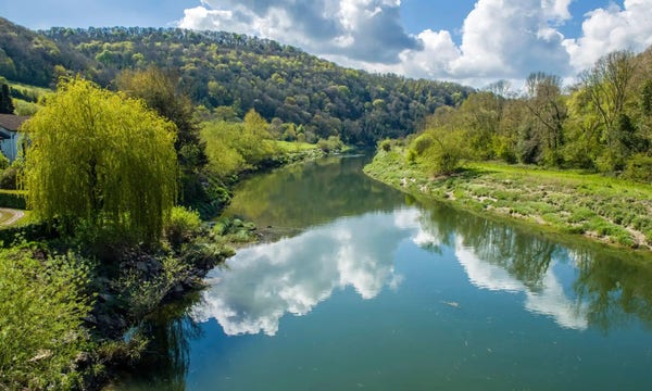 A photograph of the river Wye. Which belies the pollution killing the river.