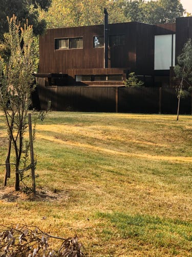 A house clad in burnt timber, that prevents it weathering I think, sitting nestled really, in between a grassy public park in the foreground and large plane trees in the background.
