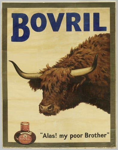 Ad for Bovril. It's a painting done in creams, browns, and pale yellows. Makes me think of Spain in the evening. Shows a bottle of the product. Shows a cow with large horns, a tear running down its cheek. The caption is "Alas, my poor brother" 
 