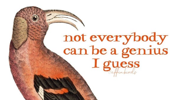 A painting of a bird next to the words "not everybody can be a genius I guess"