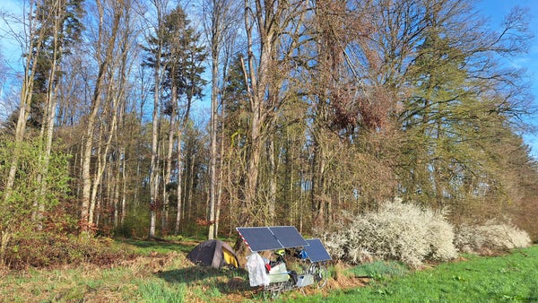 Solar bike parked near tent in spring forest after rain.