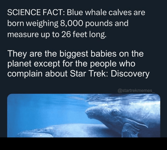 Science fact: Blue whale calves are born weighing 8,000 pounds and measure up to 26 feet long.
They are the biggest babies on the planet, except for the people who complain about Star Trek: Discovery