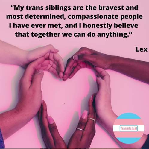 (Accessibility: Hands on a pink background creating a heart. Text: “My trans siblings are the bravest and most determined, compassionate people I have ever met, and I honestly believe that together we can do anything.” Lex)