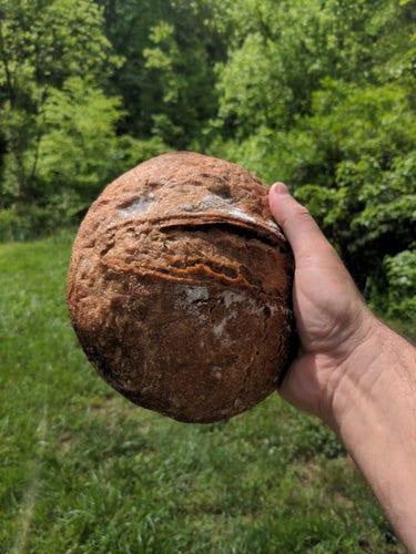 loaf of sourdough in my hand with a backdrop of green grass and trees