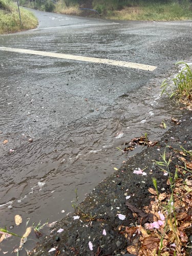 rain soaked roadway with sheets of water flowing over it from left to right. A good size stream has been created by the water and is flowing in the lower right, along the side of the roadway