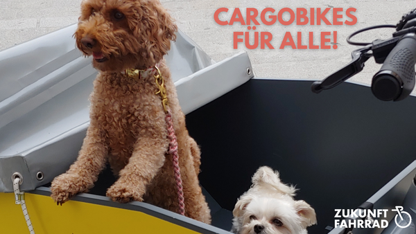 Zwei Hunde schauen aus der Transportbox eines Lastenrads, darüber steht: Cargobikes für alle!