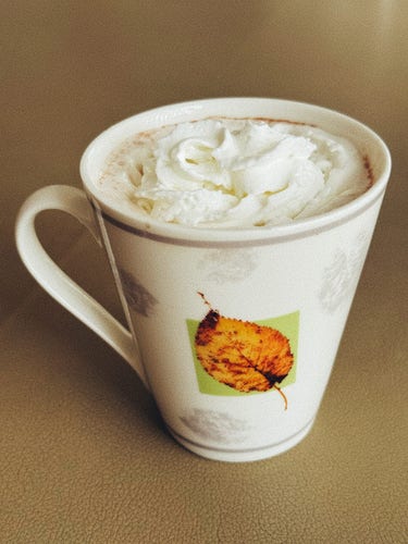 a mug of hot cocoa with whipped cream