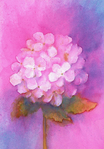 Single Hydrangea Flower is a watercolour painting in portrait format painted by the artist Karen Kaspar. It shows a single round flower head of a beautiful pink hydrangea with leaves and stem against an abstract background painted in the same shades of pink, purple and blue as the plant. 