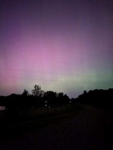 Green and pink colors of an aurora above dark trees
