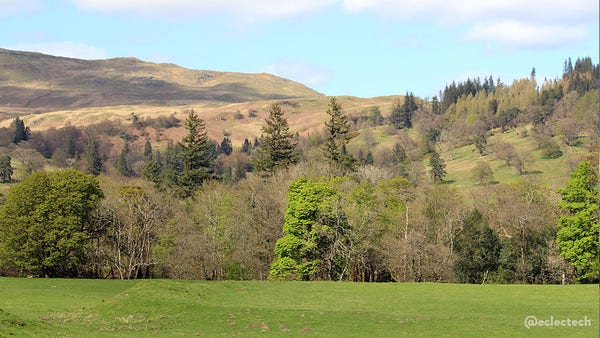 A view across a green glen. There is a grass field in the foreground, then trees lining a river (out of view), and beyond that hills sparsely dotted with trees, bare higher up. The sky is blue, with some fluffy white clouds.