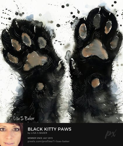 A pair of furry kitty paws is depicted with distinct pads seen on the underparts. Splashes of black ink surrounding the paws give the image a dynamic and somewhat abstract feel.