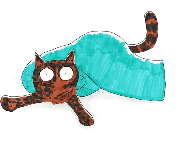 A hand-drawn cartoon of a tortoiseshell cat looking surprised that it is wrapped up in a turquoise towel.