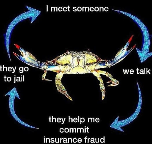 a low res crab with circle of text and arrow around it

I meet someone
arrow
we talk
arrow
they help me commit insurance fraud
arrow
they go to jail
arrow back to the top