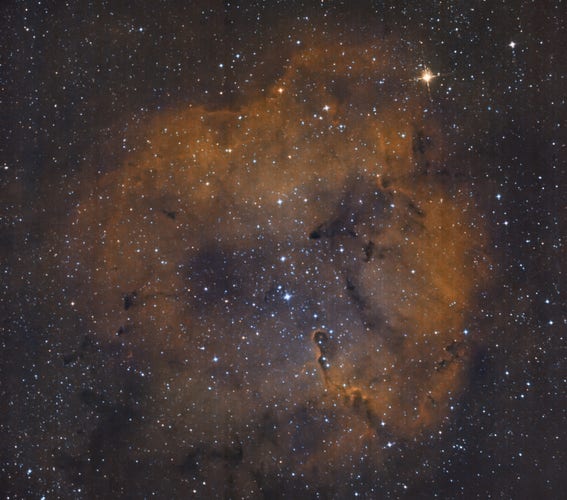 False color image showing IC 1396, also called the "Elephant's Trunk Nebula".