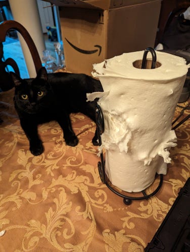 On a table with a bronze colored table cloth with a floral pattern, a black cat with gold eyes lays casually next to a roll of paper towels that has been clawed and chewed until the exterior is very ragged looking. The cat's favorite toy, an empty Amazon shipping box, sits on the table behind the cat.