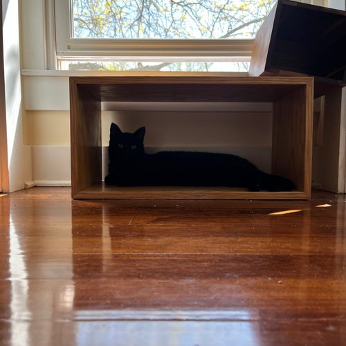 a black cat looks at us from within a wooden crate with an open side; above is a window