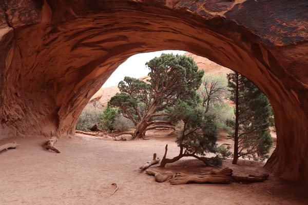 Photograph of Navajo Arch, a solid, orange rock arch curving gracefully overhead creating a sandy flat shelter beneath. A tree beyond the arch is framed nicely within the curve.