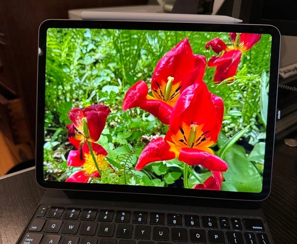 An iPad with Apple Pencil displaying an image of red tulips with green foliage in the background.