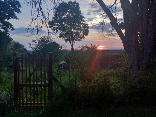 Gate with trees and sunset in the valley, sunray reaching into the scenery