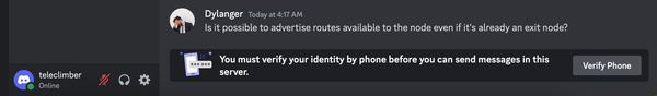 A screenshot of the bottom of the Headscale Discord "server". It reads: "You must verify your identity by phone before you can message this server".