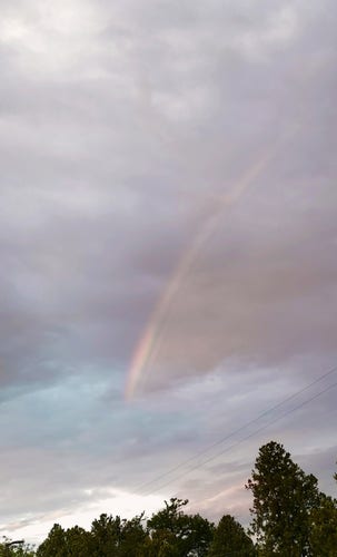 Rainbow, partly formed, in a lightly clouded sky.
The sky has the pale and soft colours of dawn, grey and pale blue and just a light shade of pink.