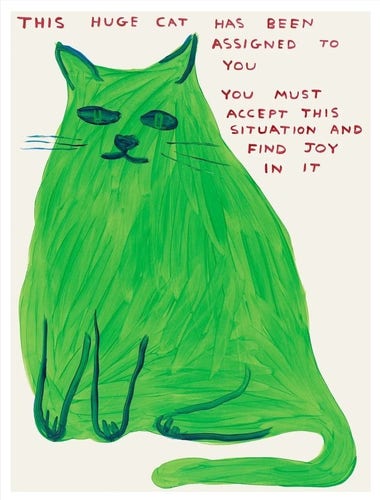 A drawing of a large green cat. Caption says - this huge cat has been assigned for you. You must accept this situation and find joy in it.