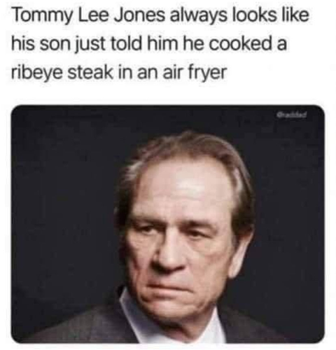 Meme photo of Texan actor Tommy Lee Jones looking perturbed as he normally does with his receding hairline and locked jaw. Above the photo is the meme text quoted in the toot. 