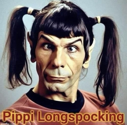 Foto von Spock mit Pipi Langstrumpf Frisur und schielenden Augen. Darunter der Text: Pippi Longspocking