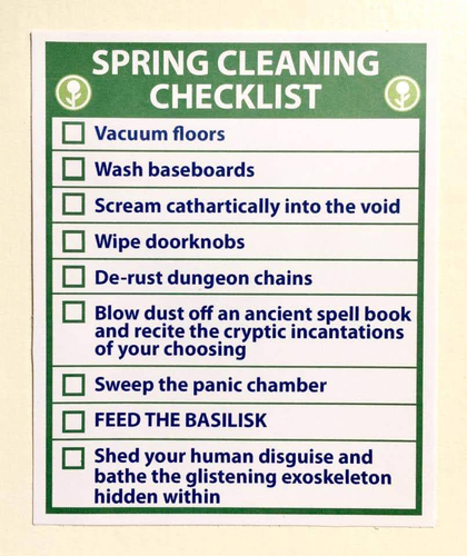 SPRING CLEANING CHECKLIST  
[] vacuum floors
[] wash baseboards 
[] Scream cathartically into the void 
[] wipe doorknobs 
[] de-rust dungeon chains 
[] Blow dust off an ancient spell book and recite the cryptic incantations of your choosing 
[] Sweep the panic chamber 
[] FEED THE BASILISK 
[] Shed your human disguise and bathe the glistening exoskeleton hidden within 