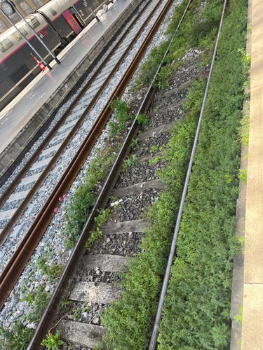 A track with lots of weeds growing along it. A double deck TGV can be seen beyond it.