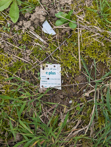 Auf dem Boden liegt zwischen Gras und Moos ein Kunststofflabel von e-plus für Antennen, in dem "Sektor 2" und "+45°" durch ausgestanzte Löcher markiert sind.