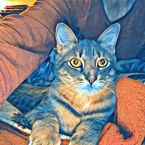 Selfie of a teen cat, a gray tabby with a white jaw and a prominent tabby ring around his neck, nestles into a person's lap on a blanket, with a torso, neck and shirt visible in the background, all of it with a soft textured painting filter.