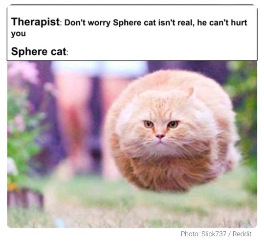 A cat in a sphere shape seeming to hover in the air unaided.
Caption:
Therapist: Don’t worry, sphere cat isn’t real, he can’t hurt you.
Sphere cat: (Obviously existing in photo.)