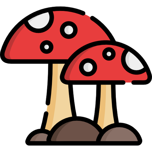 mushrooms@lemmy.world Icon