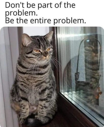 A tabby cat glaring out the window, his reflection partially seen. At the top, it says, "Don't be part of the problem. Be the entire problem."