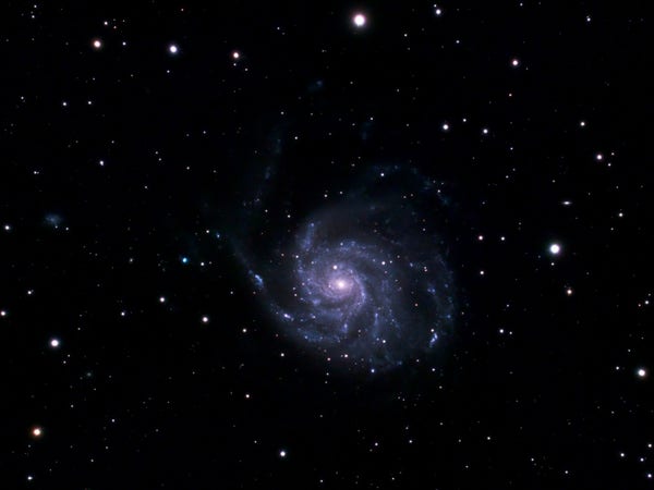 The Pinwheel Galaxy (M101)