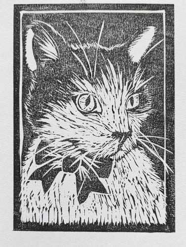 A linocut print of a black and white cat wearing a bow round his neck. He is looking to the right.